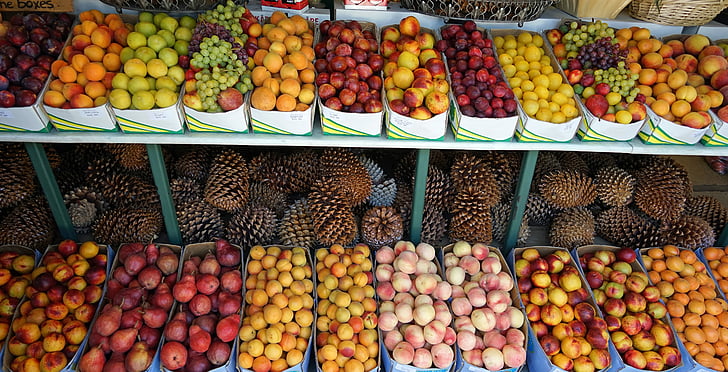 variety of fruits in stall