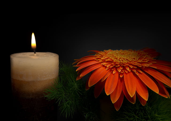 red Gerbera daisy flower and lighted pillar candle