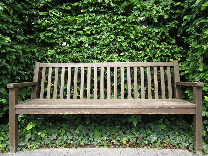 wooden bench near tree