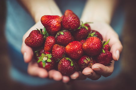 person holding strawberries selective focus photography