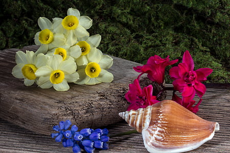 seashell and flowers