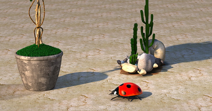 ladybug near cactus plant