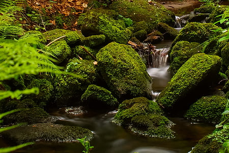 waterfalls surrounded by stones and plants