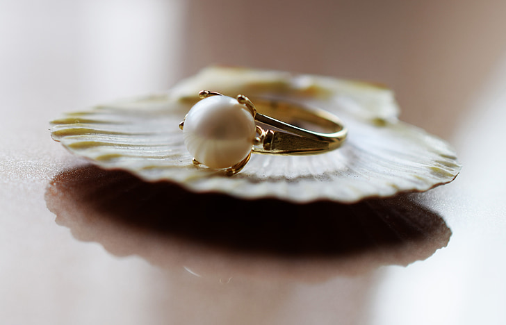 gold ring on top of shell