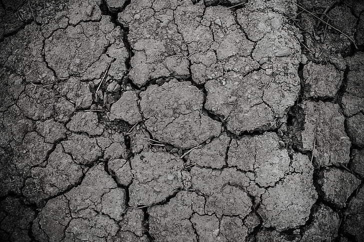Royalty-Free photo: White cracked soil