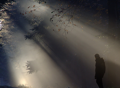 silhouette photo of man standing in the woods with ray of light