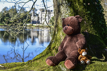 brown bear plush toy beside tree