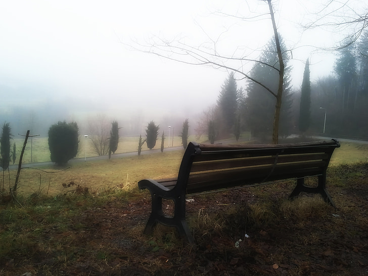 black wooden bench on park