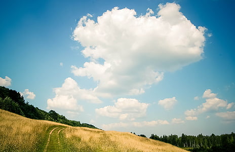 grass field with white clouds on sky