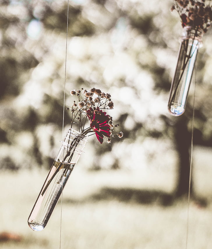 red daisy on clear glass hanging vase