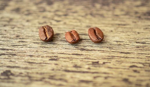 three coffee beans