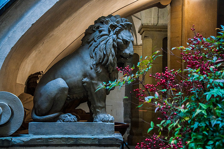 gray lion statue beside green plant