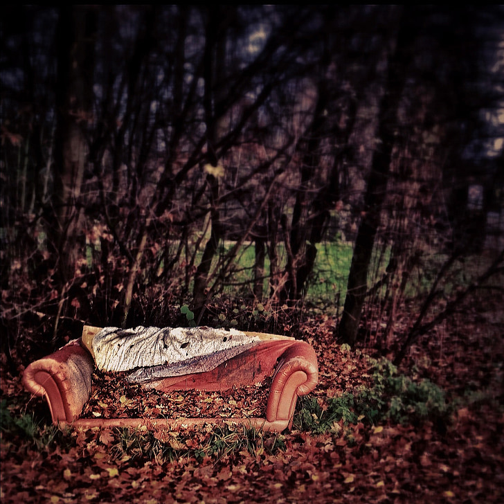 brown leather sofa surrounded by trees with withered leaves