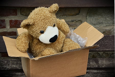 brown bear plush toy in box