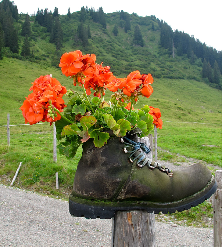 orange flowers placed on brown leather boot