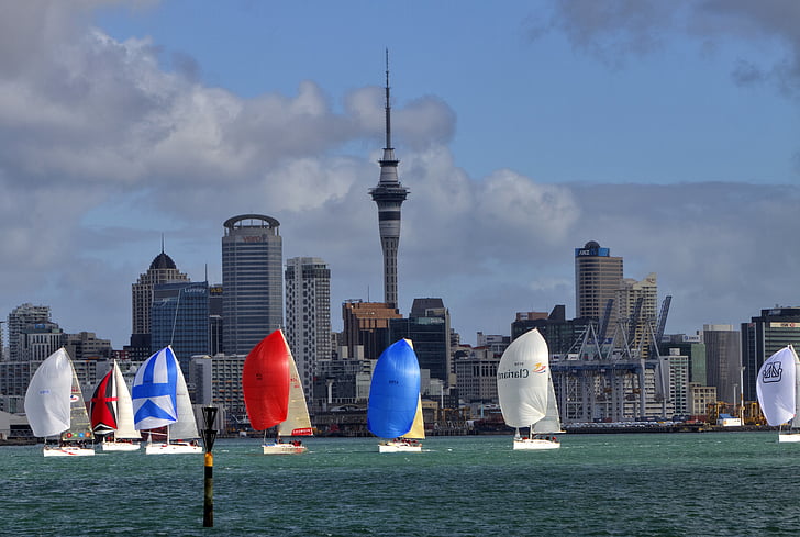 seven assorted-color sailboats on body of water near high-rise buildings during daytime