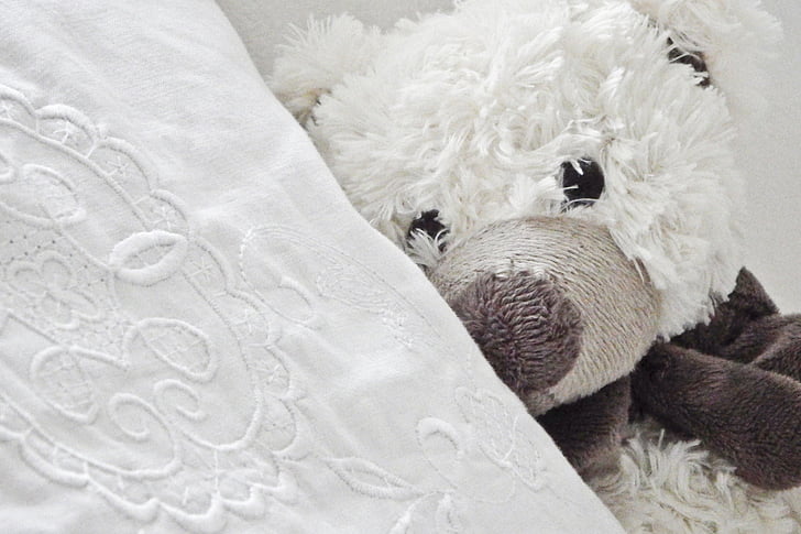 white and brown teddy bear laying on white pillow