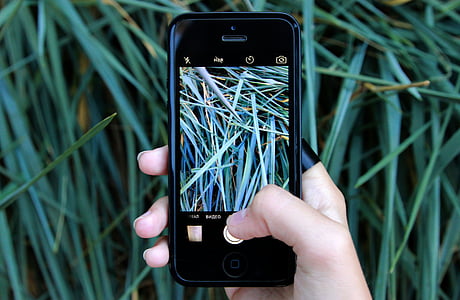 person holding black iPhone 5 with black case taking photo of grasses