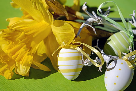 yellow daffodil flower and multicolored Easter eggs