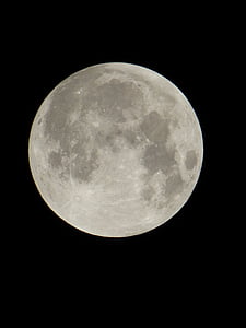 closeup photo of moon