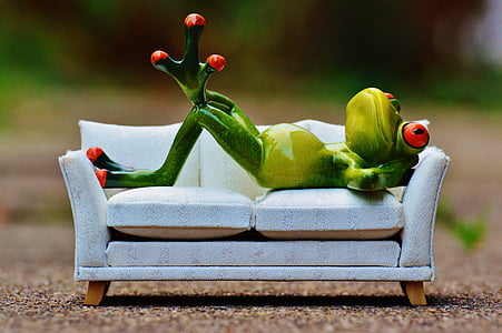 green frog on white sofa decor