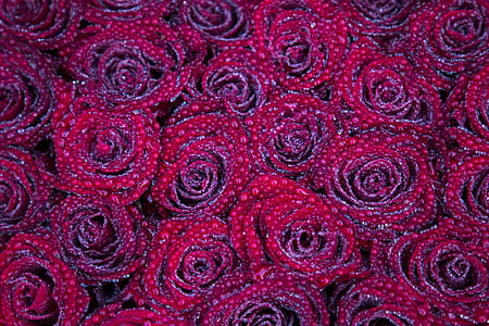 pink floral textile