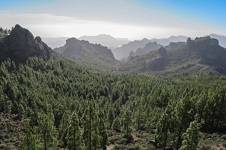 aerial view photography of mountain surrounded of trees
