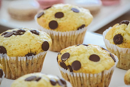 cupcake with chocolate chip