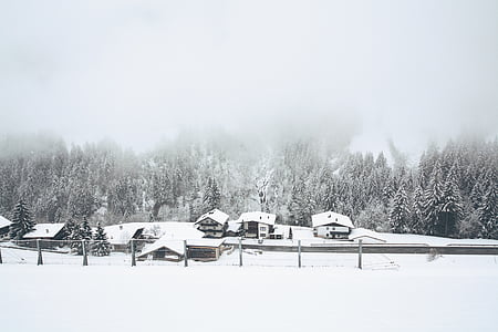 houses covered with snow